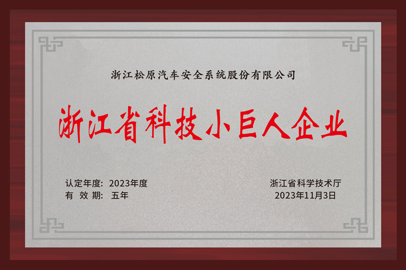 Zhejiang Provincial Technology Little Giant Enterprise